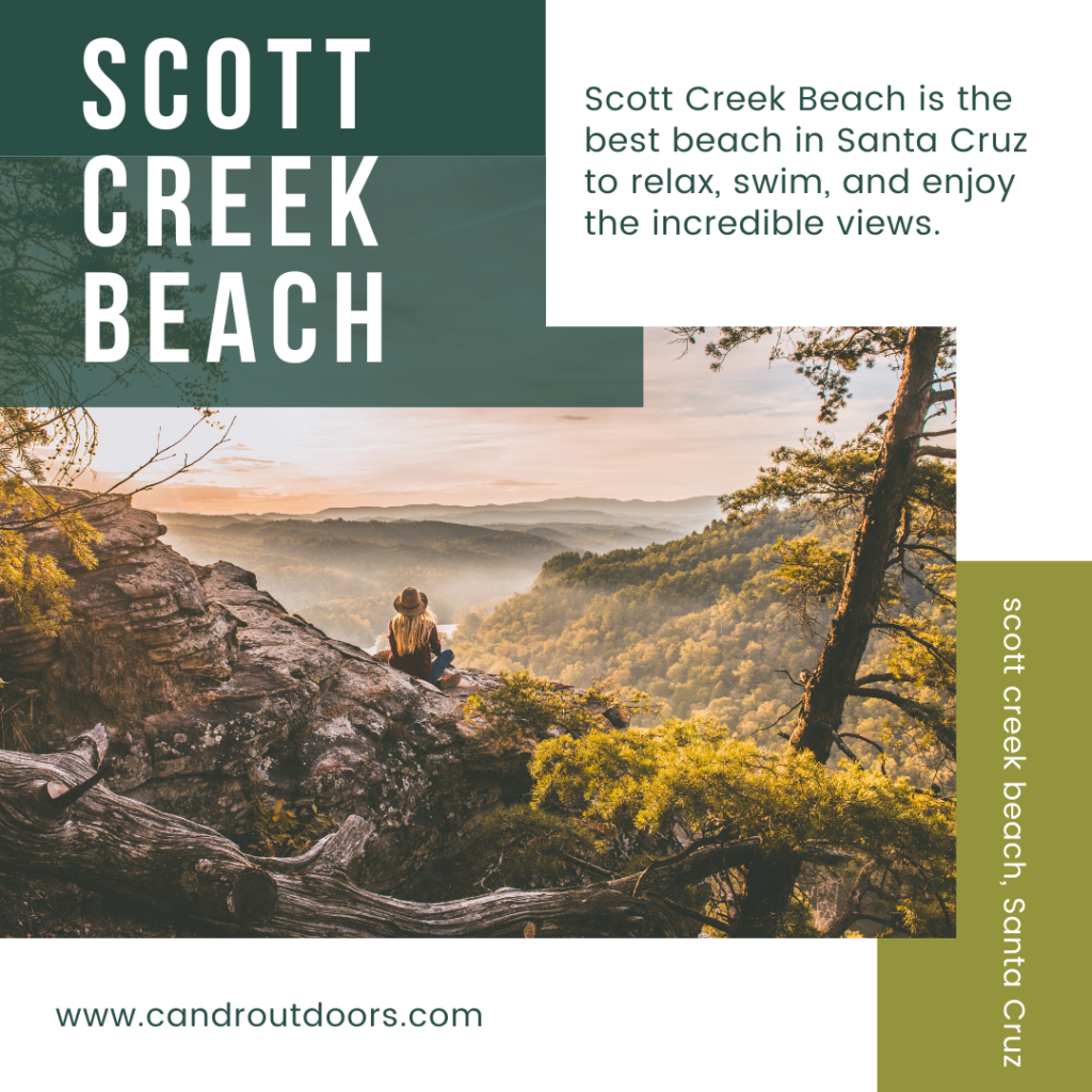 Scott Creek Beach