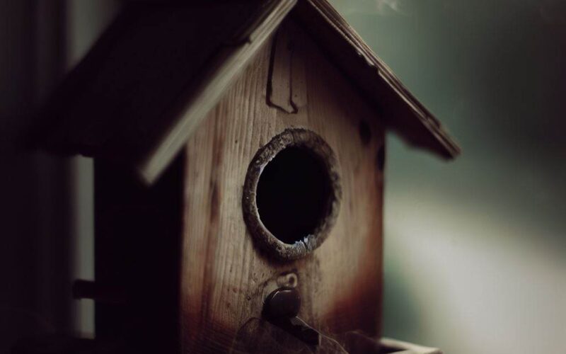 a wooden birdhouse on window