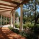 Staining a pergola