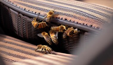 bees in patio furniture