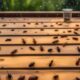 bug spray for wood deck