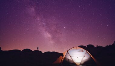 blackout tent liner