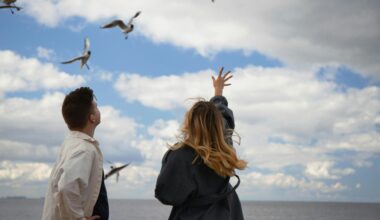 an image of a man and woman watching flying birds