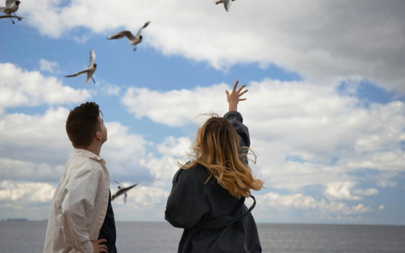 an image of a man and woman watching flying birds