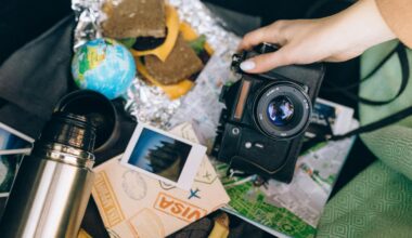 A camera, snack, field guide - gear for bird watching kit for beginners