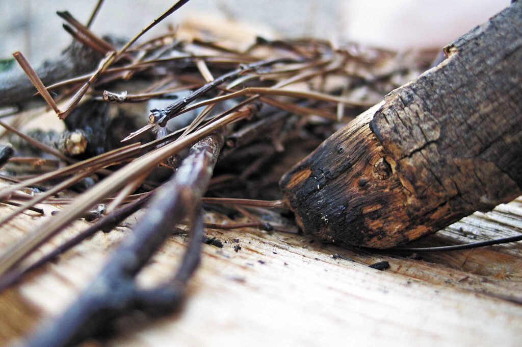 scraping a hardwood stick along a groove carved onto a foundation of softer wood. 
