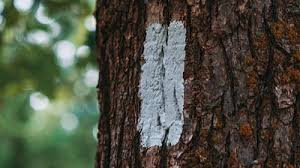 solo hikers: An image of a hiking symbol