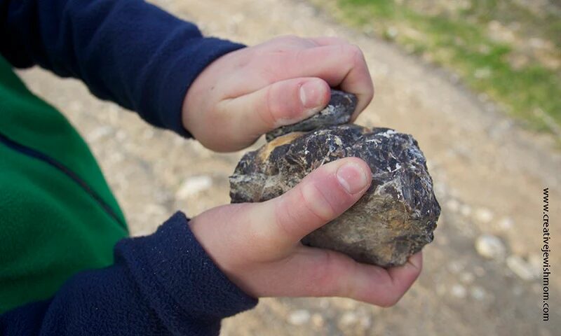 Rocks and Quartz were used to spark fire to burn some wood in the forest as a technique on  how to start a fire without matches or lighters