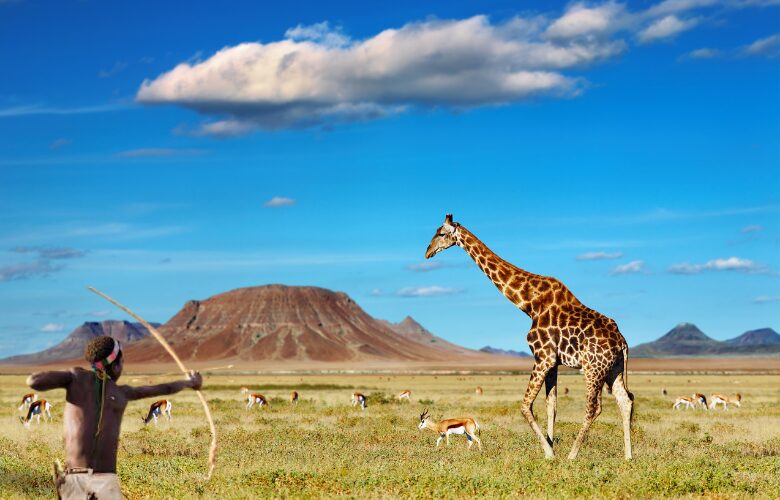 An African aiming to shoot a giraffe with an arrow representing  best places to hunt in Africa for authentic safaris.