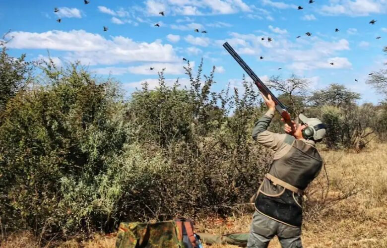 Wing shooting in South Africa one of the best places to hunt in Africa