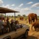 travelers in wildlife tours africa
