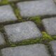 how to kill algae on concrete