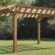 Best type of wood for pergola
